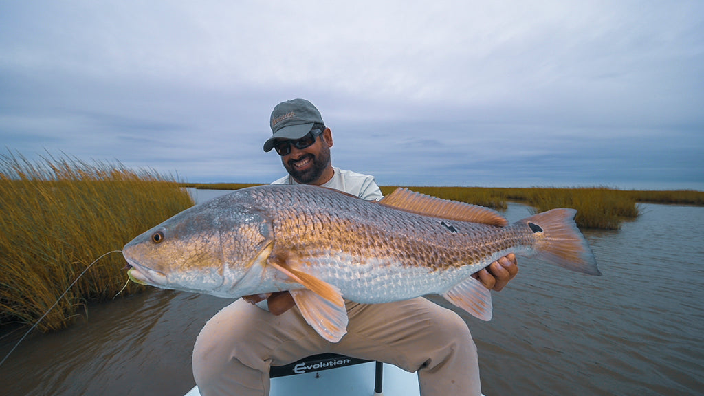 Louisiana Redfish Fly Fishing Film!