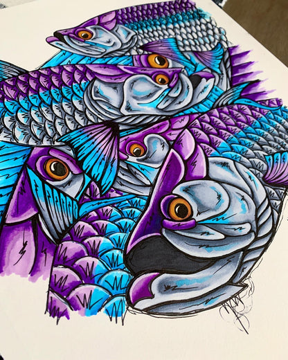 Tarpon Haze Study